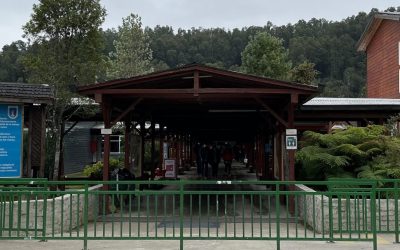 Bienvenido al año académico 2025