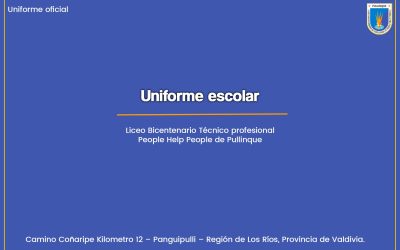 Uniforme institucional Liceo Bicentenario PHP de Pullinque