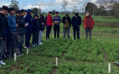 Estudiante de agropecuaria visitan el Instituto de Investigaciones Agropecuarias.