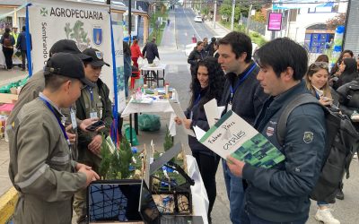 Estudiantes triunfan en encuentro de emprendimiento TP
