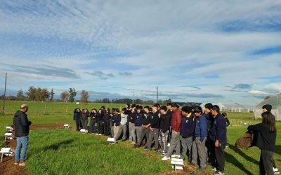 Estudiantes de Agropecuaria del Liceo People Help People fortalecen su formación con visita a INIA Remehue y lechería robótica