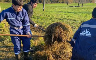 Estudiantes de Agropecuaria refuerzan aprendizajes con experiencia práctica en el Fundo Quilaco